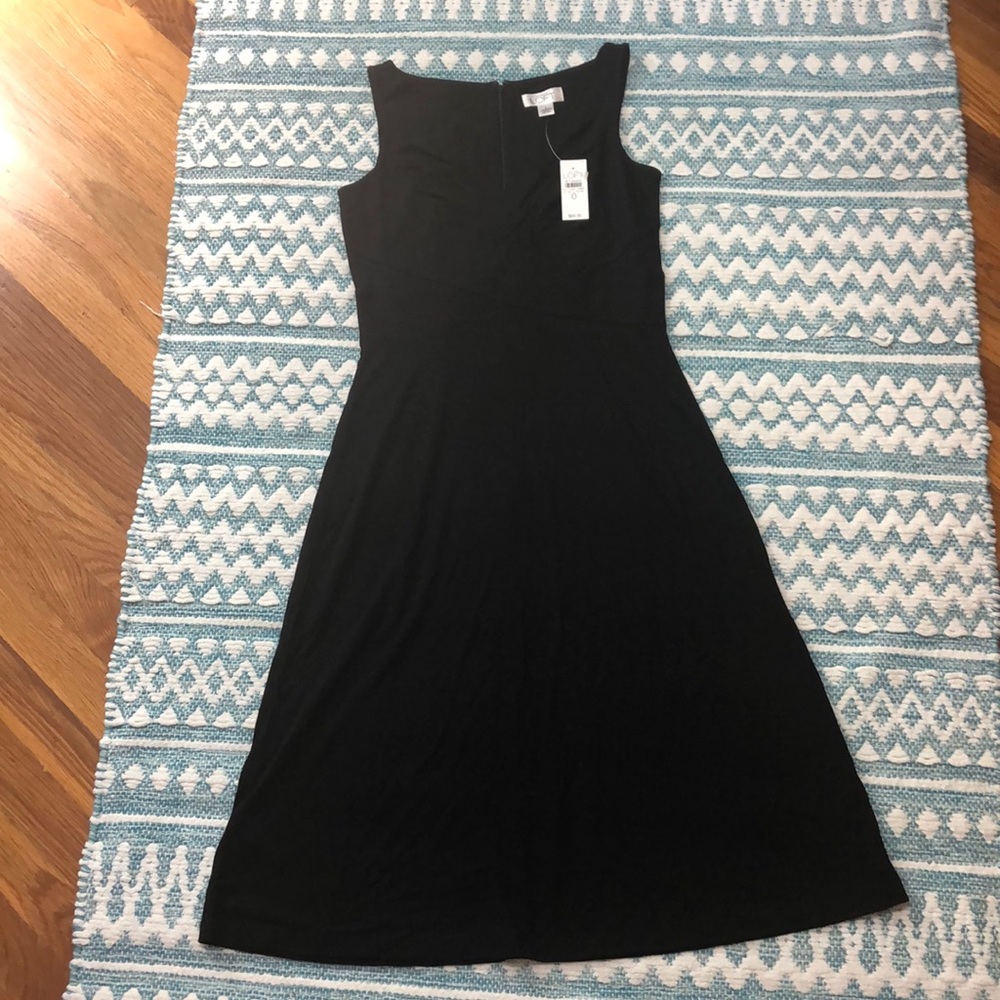 Ann Taylor LOFT dress